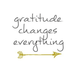 Screen Shot 2017-11-23 at 7.34.25 am